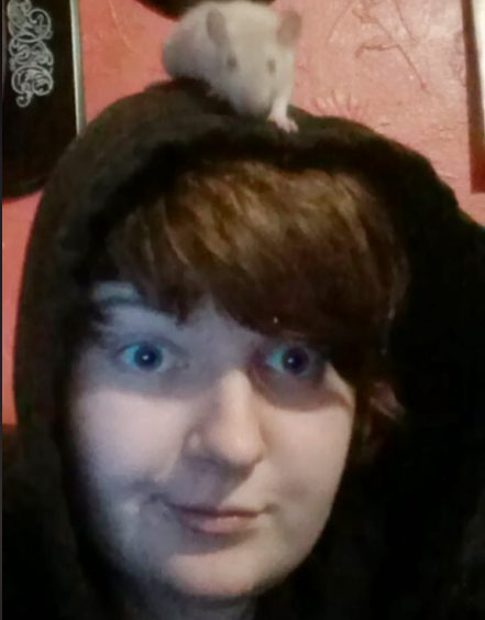 Harper in 2013 with brown hair